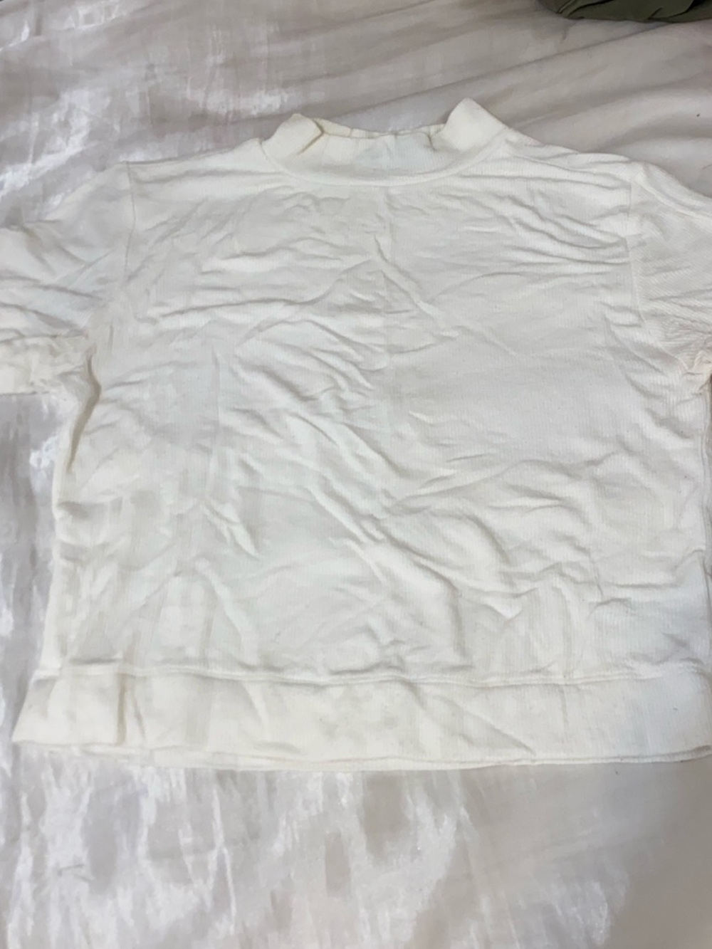 Shinestar White Soft Shortsleeved Turtle Neck With Sheer Backing, Cropped